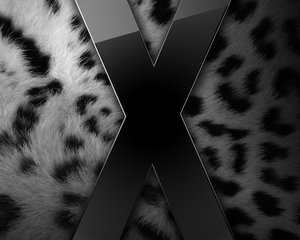 OSX_Leopard_by_freyr.jpg